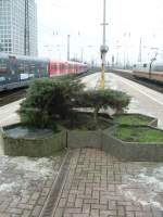 Dortmund Hbf/58632/hier-zumindest-der-versuch-ein-paar Hier zumindest der Versuch ein paar Pflanzen auf den Bahnsteig zu bringen. Hier im Dortmunder Hbf am S-Bahnsteig 7/8.